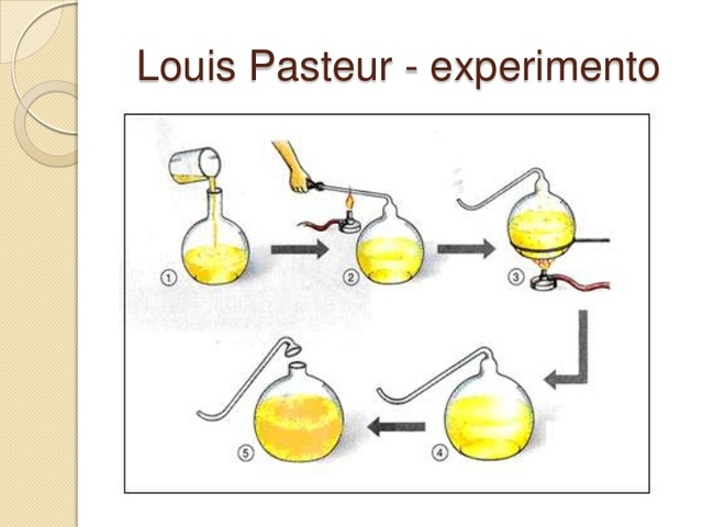 Experimento de Pasteur