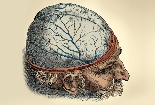 Griesinger- Movimiento somático
