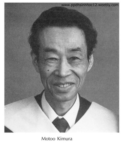 Kimura Motoo (1924-1994)