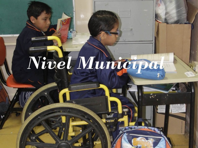 Reglamento para el reconocimiento de los derechos de las personas con discapacidad en el municipio de Mérida