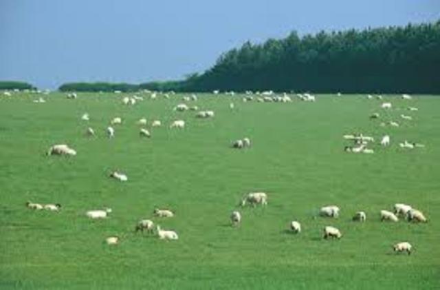 Llegada del hombre a America, ganaderia y agricultura extensiva