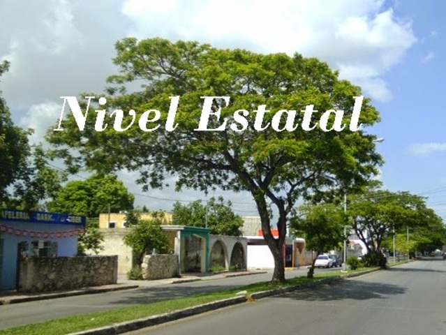 Ley de conservación y desarrollo del arbolado urbano del estado de Yucatán