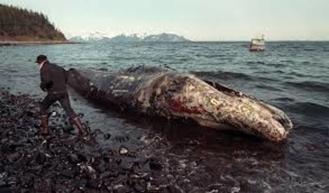 El desastre de Exxon Valdez