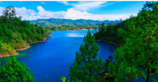 Ecología en México