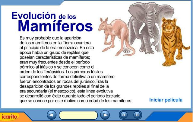 50 Millones atrás- Evolución de los Mamíferos