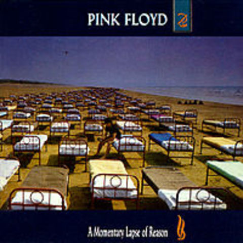 A Momentary Lapse Of Reason