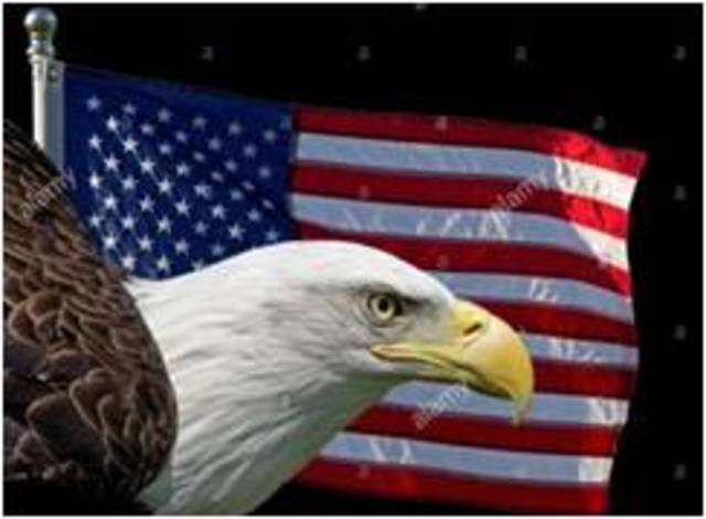 La National Vocational Guidance Association