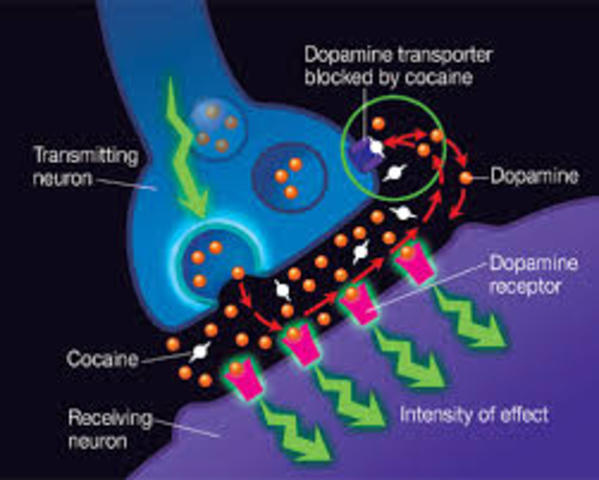 long term side effect of cocaine.