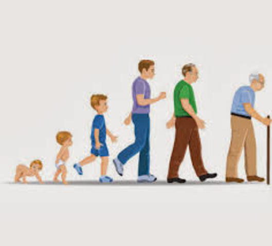 Etapas del Desarrollo bio-psico-social