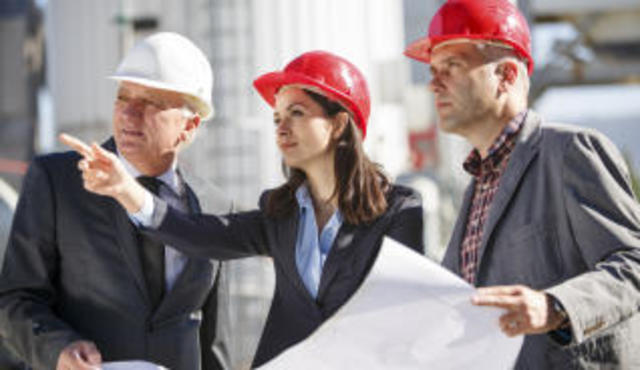 Etapas del Desarrollo