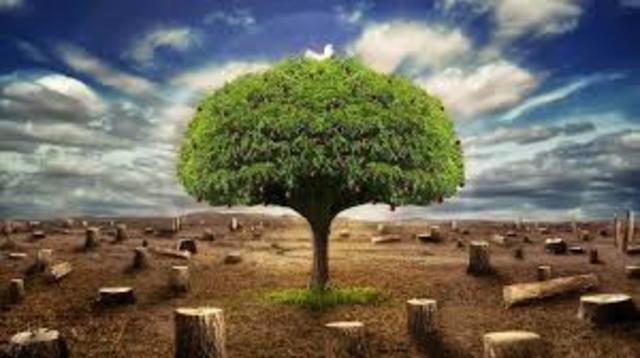 La ecología en la actualidad