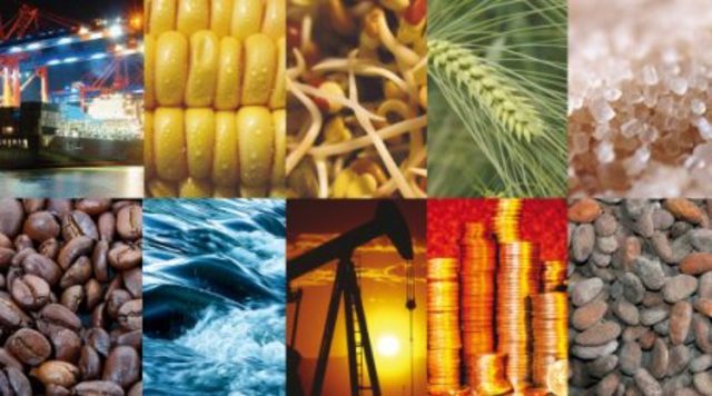 Disponibilidad de materia prima