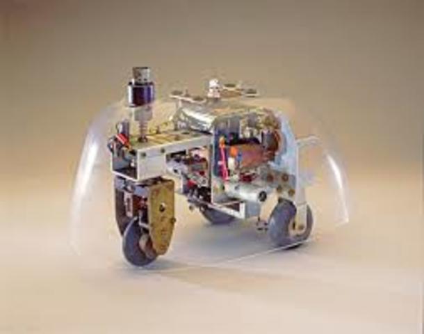 Tortue cybernétique