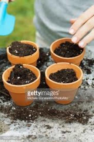 Why hasn't it grown yet?