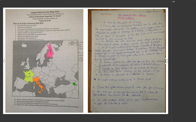Chestionar de progres