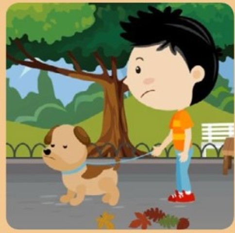 Grado Tercero: Texto Informativo