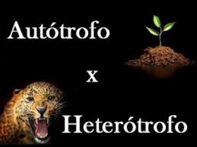 Hipótese autotrófica e heterotrófica