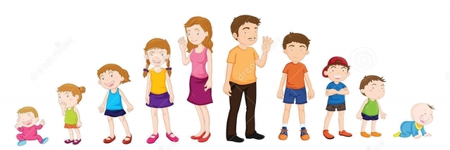 Etapas de los niños y adolescentes