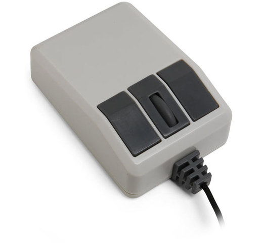 INVASIÓN DEL RATÓN