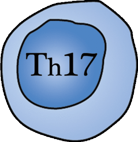 Th17.