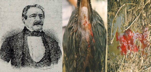 Fray Miguel Antonio Agustí