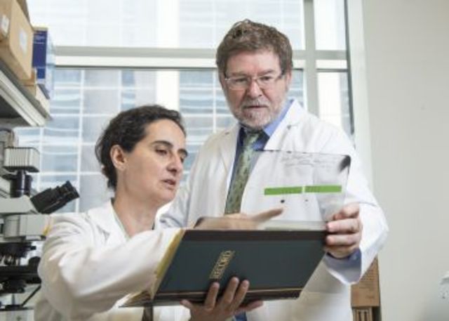 Inmunoterapia y cancér.