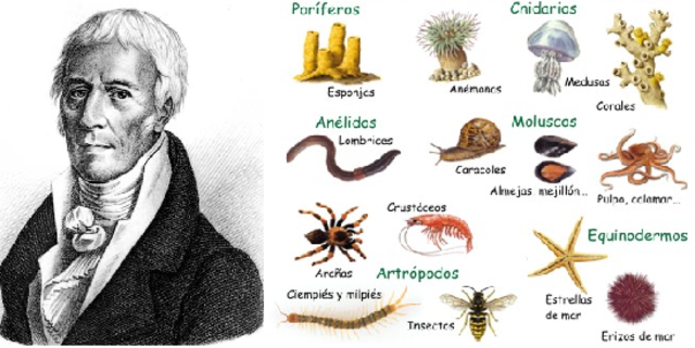 Lamarck