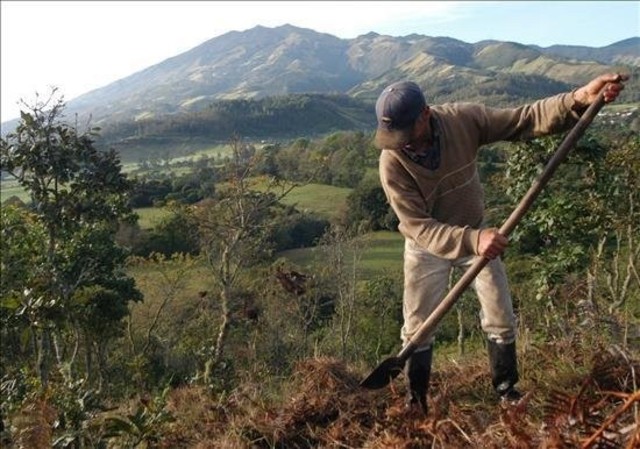 Creacion Oficina Ley de Tierras