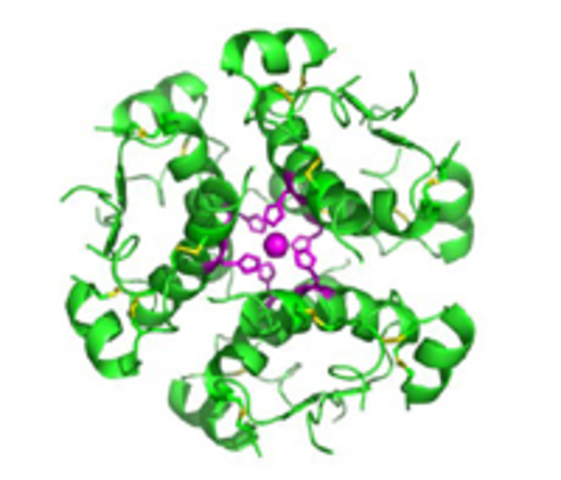 Aislamiento de la insulina