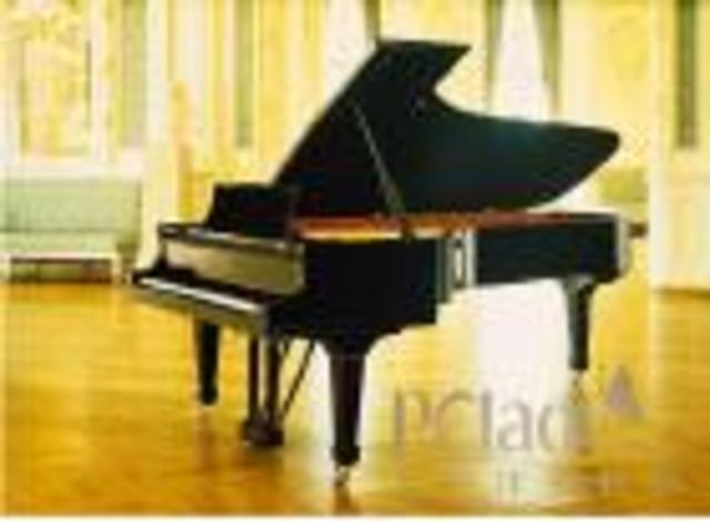 I started to learn piano