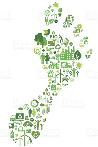 Mein ökologiscker Fußabdruck