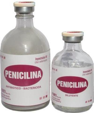 Penicilina - Alexander Fleming