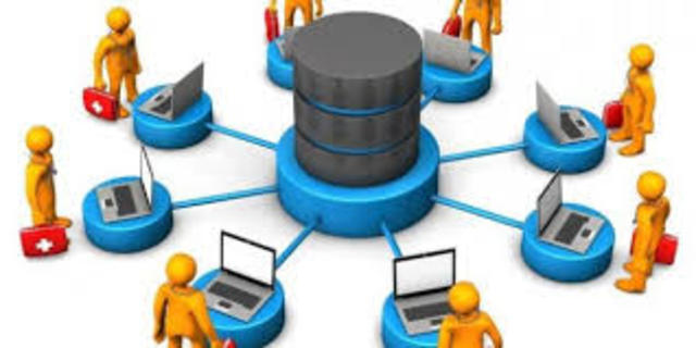 organización del área de informática