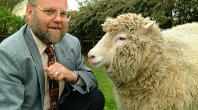 Clonación de la oveja Dolly