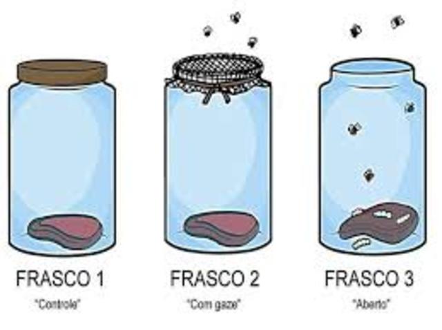 Teoria da Abiogenese