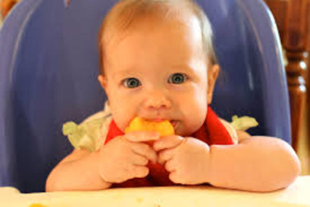 Baby eats with fingers