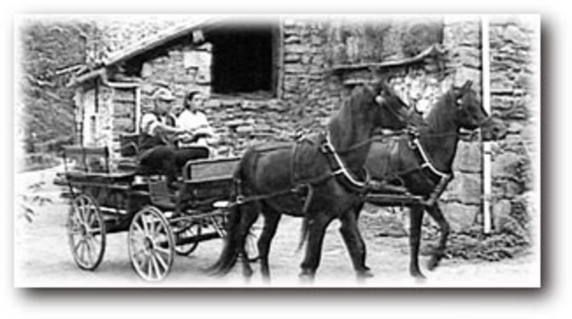 Medios de Transporte (X)