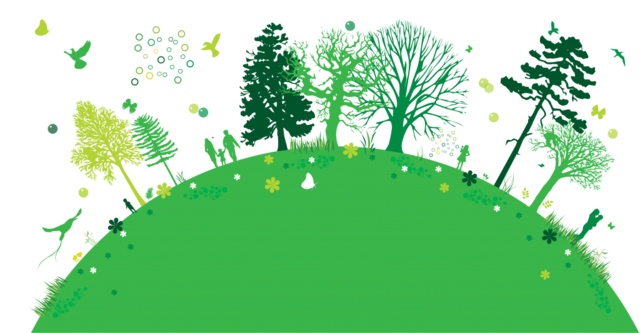 Inicios De La Ecologia