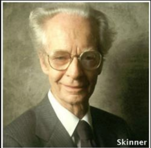 Teoría de la Contingencia