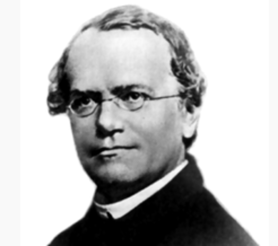 Gregor Mendel