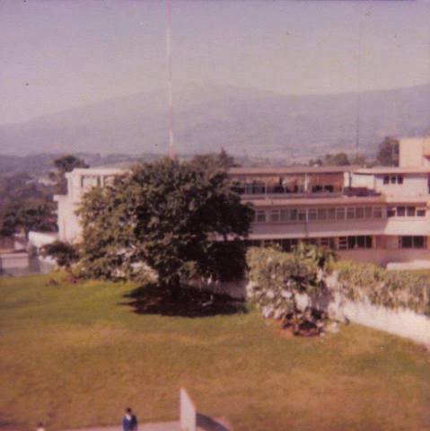 Se autoriza a las escuelas secundarias a optar por los nuevos programas de áreas