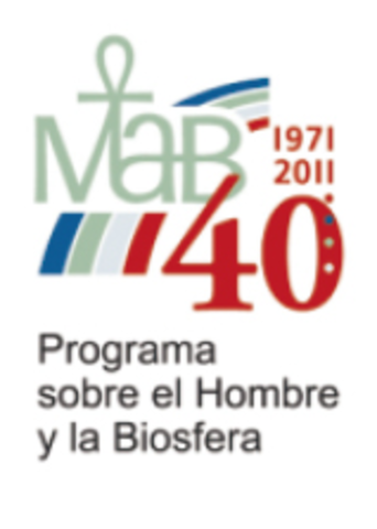 Creación del programa MAB
