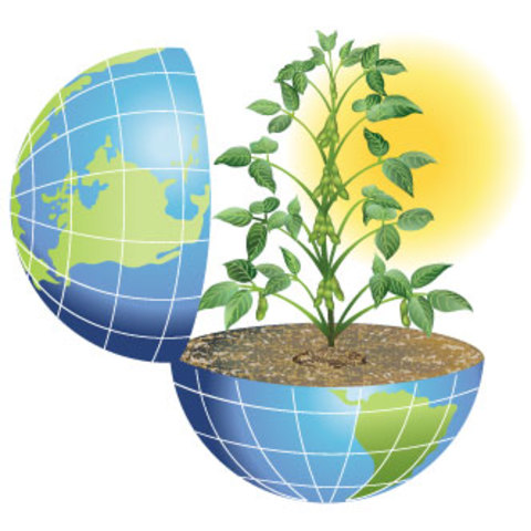 Desarrollo Historico