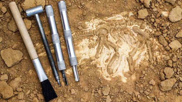 Geologia y Panteologia