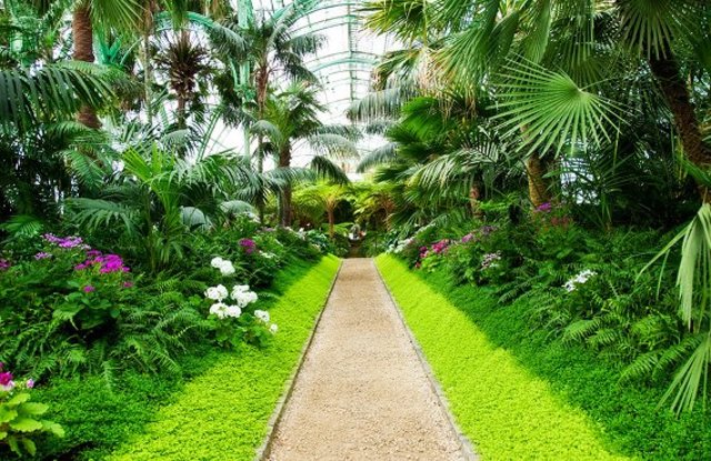 La Ecologia Botanica