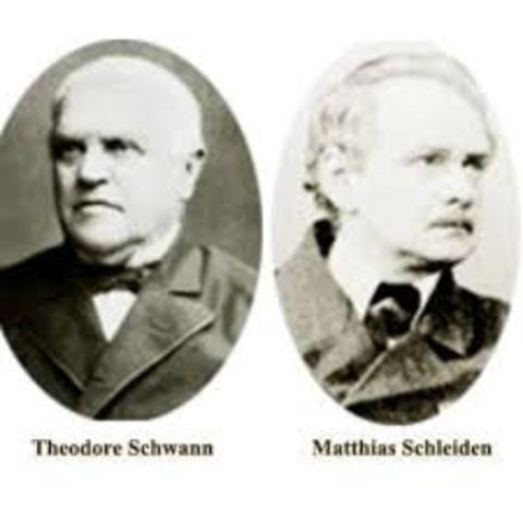 Matthias Schleiden y Theodor Schwann