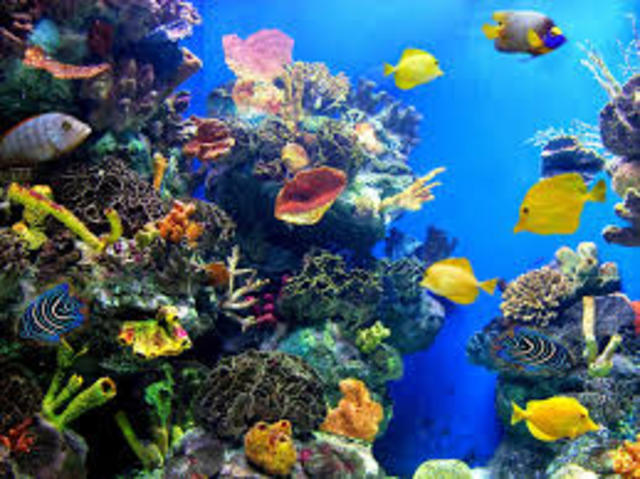 La Ecología Acuatica