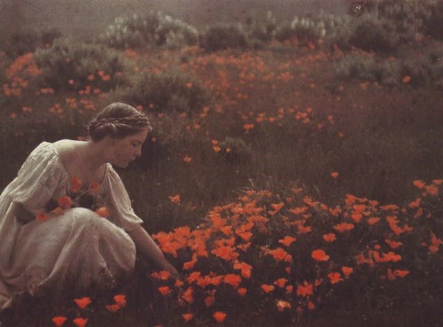 Helen Cooke Wilson in a California Poppy Field