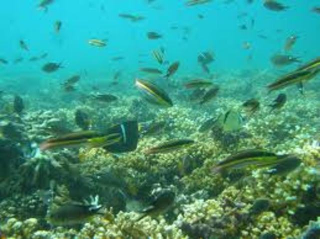 La ecología acuática  17 Oct 1924