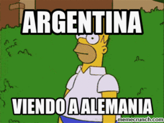 VIMOS EL MUNDIAL DE BRASIL